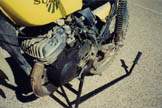 TM250 thumbnail 7.JPG (12853 bytes)